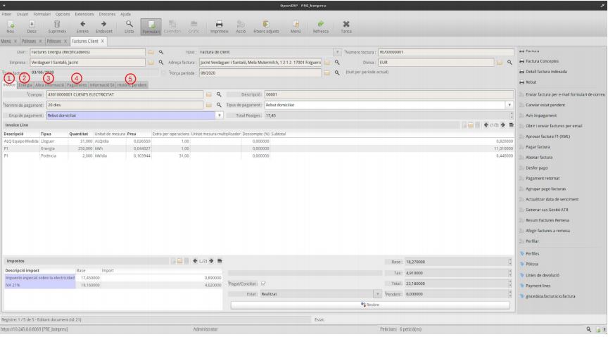 GuiaFacturacio-img02.JPG